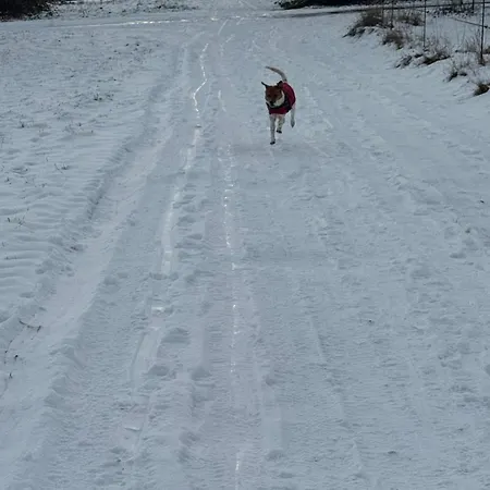 Zur Hozbachschlucht Apartment *