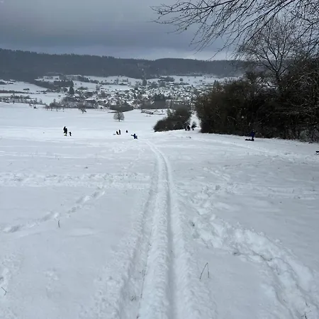 Apartment Zur Hozbachschlucht Gemunden (Westerwaldkreis)