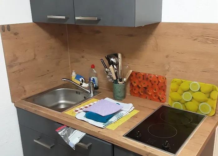 Zur Hozbachschlucht Apartamento *