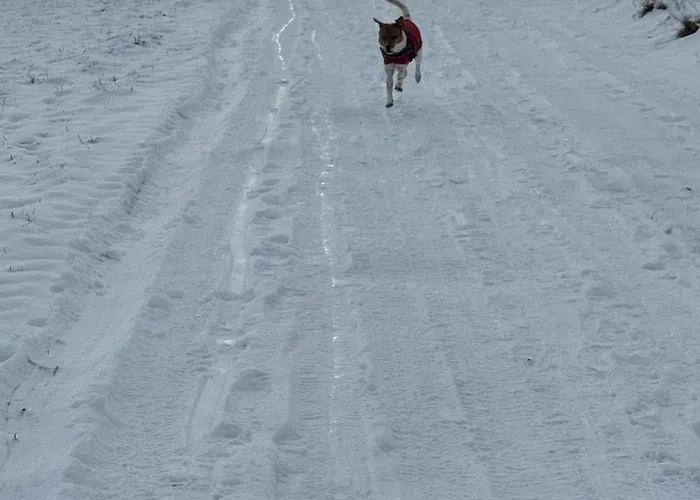 Zur Hozbachschlucht Apartamento *